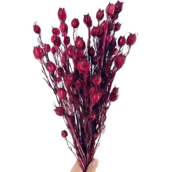 umělá květina Stabilizovaná černucha (Nigella) vínová svazek/kytice 100g