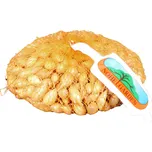 Nohel Garden Cibule sazečka Shakespeare…