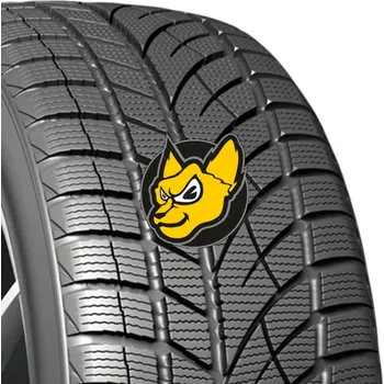 Zimní osobní pneu Evergreen EW66 215/55 R16 97H XL M+S