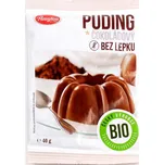AMYLON puding čokoládový bezlepkový BIO 40g