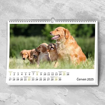 Fotokalendář Nástěnný fotokalendář měsíční "Velká čísla bílý šířka"