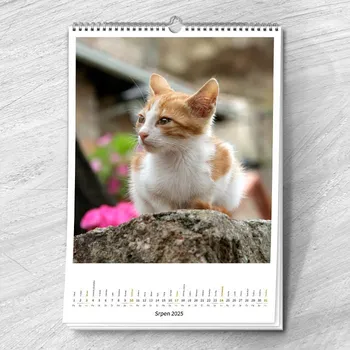 Fotokalendář Nástěnný fotokalendář měsíční "Jmenný bílý"