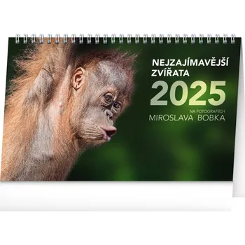 Kalendář Notique Stolní kalendář Nejzajímavější zvířata 2025