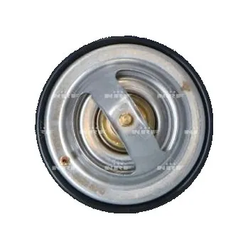 Těsnění motoru Termostat, chladivo NRF 725186