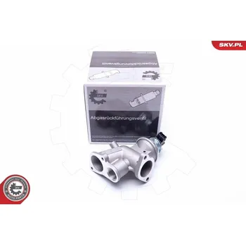 Ventil palivového systému AGR-Ventil ESEN SKV 14SKV181