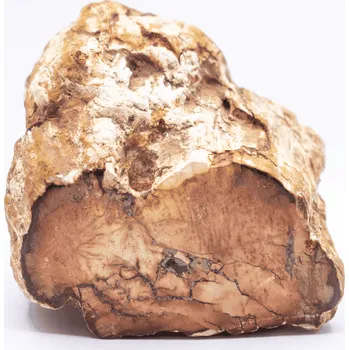 Milujeme Kameny Zkamenělé dřevo - surový kámen ZD34 455533