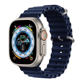 Obrázek k inzerátu: Apple Watch Ultra 2 49mm (Stav A) Titanová s modrým oceánským řemínkem