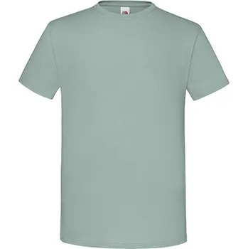 Pánské oblečení Fruit of the Loom Pánské triko 61-430-0 Sage XXL