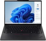 Lenovo ThinkPad T14s G6 (21N10008CK)