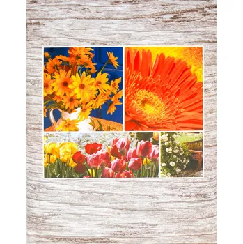 Fotoalbum Fandy MM-46100 12,5 x 16,5 cm Incolor 1