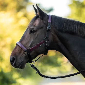 BUSSE Ohlávka Marilia BUSSE, autumn red COB