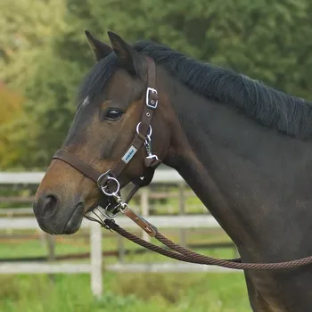 BUSSE Ohlávka Riding BUSSE, tmavě hnědá FULL