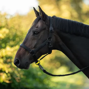 BUSSE Ohlávka Natal BUSSE, černá EXTRA FULL