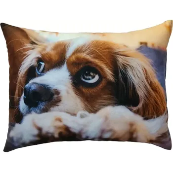 Dekorativní polštářek Polštář s pejskem , pes (dekorativní polštářek )