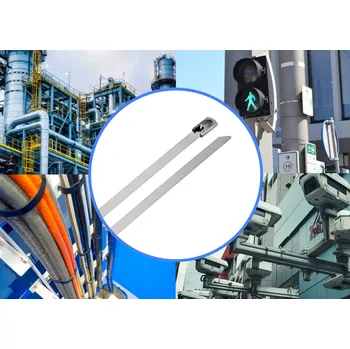 Organizace kabelů TRU COMPONENTS TC-12656660 Ocelové stahovací pásky 290 mm 4.6 mm AISI 316 10 ks