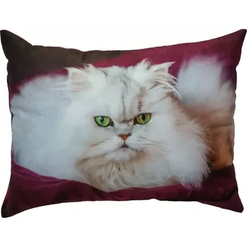 Dekorativní polštářek Polštář s kočičkou , kočka (dekorativní polštářek )