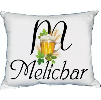 Dekorativní polštářek Polštář s pánským jménem MELICHAR (polštář se jménem MELICHAR)
