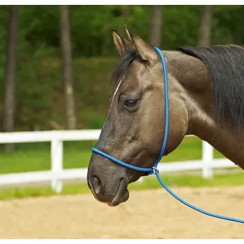 BUSSE Ohlávka/vodítko Funktion 3v1 BUSSE, royal blue