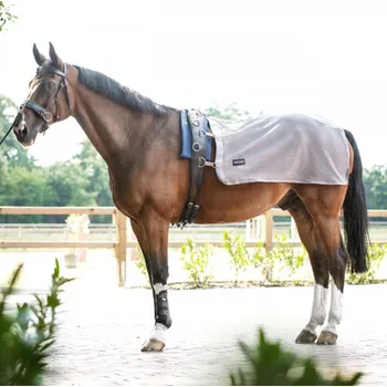 BUSSE Deka na lonžování BUSSE, proti hmyzu, grey 135 cm