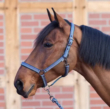 BUSSE Ohlávka Smooth Soft BUSSE, teal green/wild rose/white FULL