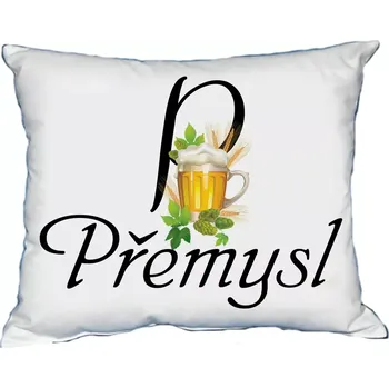 Dekorativní polštářek Polštář s pánským jménem PŘEMYSL (polštář se jménem PŘEMYSL)