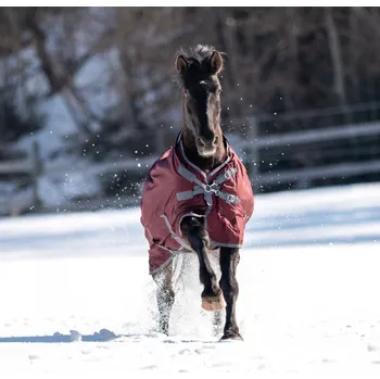 Deka pro koně BUSSE Deka výběhová Flexible Pro BUSSE, bez krku, 250 g, burgundy/grey Délka zad: 140 cm