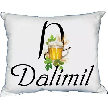 Dekorativní polštářek Moon River DALIMIL polštář s pánským jménem velikost 30x40 cm (polštářek pánské jméno )