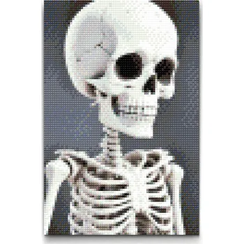 Diamantové malování Diamantové malování - Kostlivec Velikost: 20x30cm, Rámování: Pouze srolované plátno, Diamanty: Čtvercové