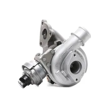 Turbodmychadlo Dmychadlo, plnění, , 18900RFWG01, 18900RFWG011M2, 18900RFWWG011M2, 18900RFWWG020M2, 18900RFWWG021M2, ECAR, TBS0482