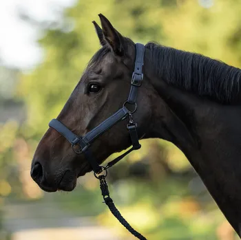 BUSSE Ohlávka Natal BUSSE, navy EXTRA FULL