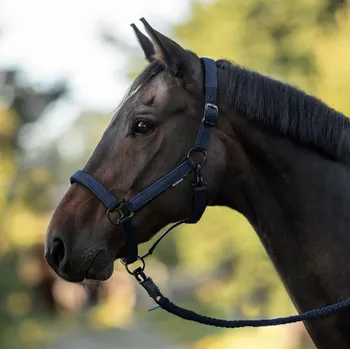 BUSSE Ohlávka Juina BUSSE, navy EXTRA FULL