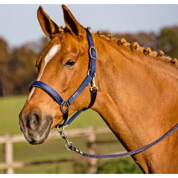 BUSSE Ohlávka Solid Soft BUSSE, navy FULL