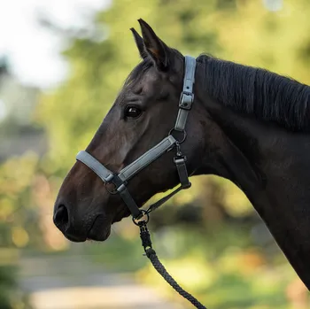 BUSSE Ohlávka Natal BUSSE, grey FULL