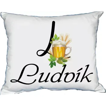 Dekorativní polštářek Polštář s pánským jménem LUDVÍK (polštář se jménem LUDVÍK)
