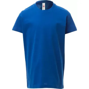 Chlapecké tričko PAYPER PRINT KIDS dětské triko 150 barva - Royal 11/12