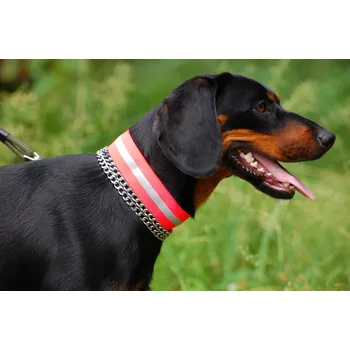 Obojek pro psa ZÁHOŘÍ Rudel Reflexní obojek - guma suchý zip s reflexní páskou Barva: Žlutá, Délka: 45 cm