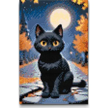 Diamantové malování Diamantové malování - Černá kočka na podzim Velikost: 20x30cm, Rámování: Pouze srolované plátno, Diamanty: Kulaté