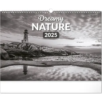 Kalendář Notique Nástěnný kalendář Snová krajina 2025