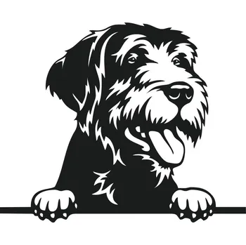 samolepka Samolepka Italský spinone