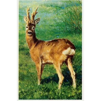 Blahopřání se srncem