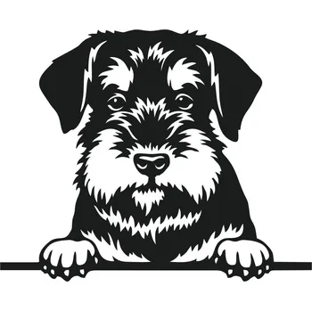 samolepka Samolepka Knírač střední