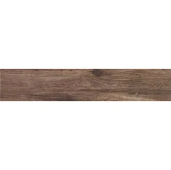 Dlažba ALAPLANA Shireen CAH4SHIRKDFA 23 x 120 x 1 hnědá 1,09 m2