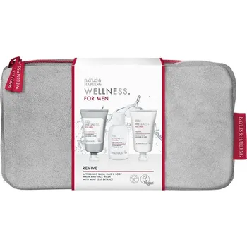 Kosmetická sada Baylis&Harding WELLNESS FOR MEN - sada s péčí o tělo, vlasy a pleť 3 ks ***
