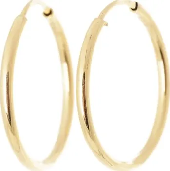 Náušnice Dámské náušnice kruhy ze žlutého zlata 25 mm NA0709F + DÁREK ZDARMA