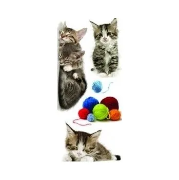 Samolepící dekorace Samolepicí dekorace Cats 59452 / Samolepky na zeď Crearreda (15 x 31 cm)