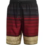 Pánské koupací šortky Adidas Dfb Clx Sh Cl S