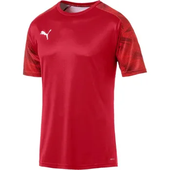Pánské tričko Triko Puma cup training jersey M