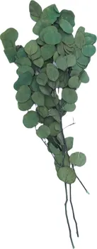 umělá květina Eucalyptus Populus stabilizovaný 60 cm tmavě zelený