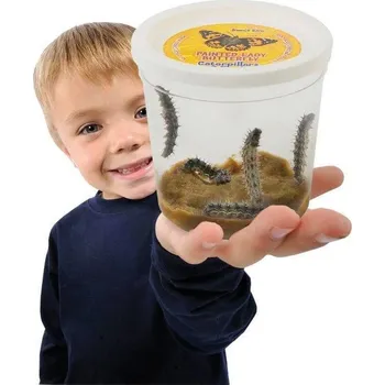 Dětská vědecká sada InsectLore Insect Lore Náhradní sada 3-5 housenek - certifikát v obálce