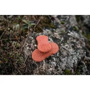 Pamlsek pro psa Sušenky bezlepkové ŘEPA Hmotnost: VZOREK